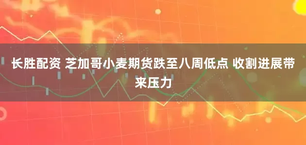 长胜配资 芝加哥小麦期货跌至八周低点 收割进展带来压力