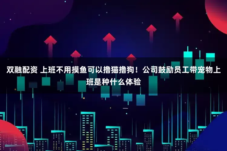 双融配资 上班不用摸鱼可以撸猫撸狗!公司鼓励员工带宠物上班是种什么体验